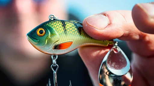 Baars vissen - perch fishing with Berkley
