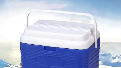 Elektrische koelbox - fishing cooler