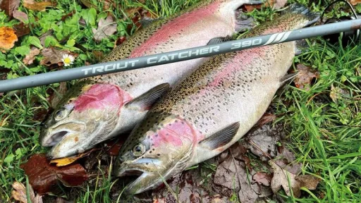 Forelhengel - trout fishing rod