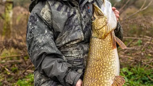 Snoek vissen - pike fishing catch