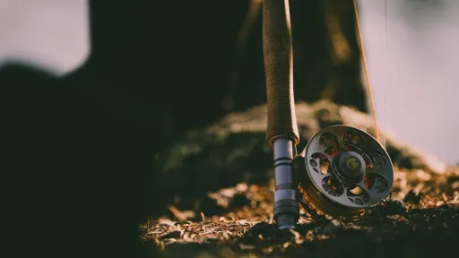 Vishengelmolen close-up - spinning reel op hengel