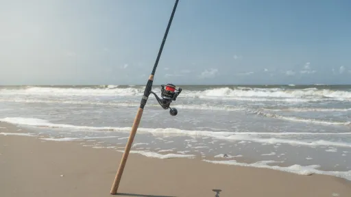 Zeehengel - sea fishing rod