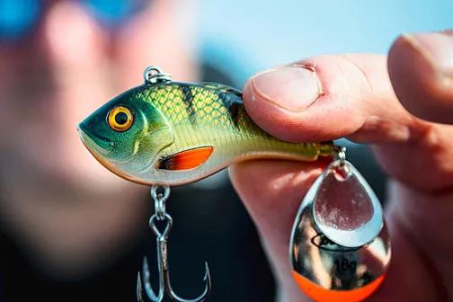 Baars vissen - perch fishing with Berkley