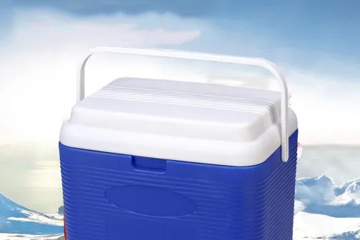 Elektrische koelbox - fishing cooler