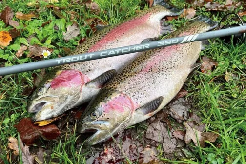 Forelhengel - trout fishing rod