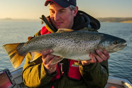 Forelvissen - trout fishing