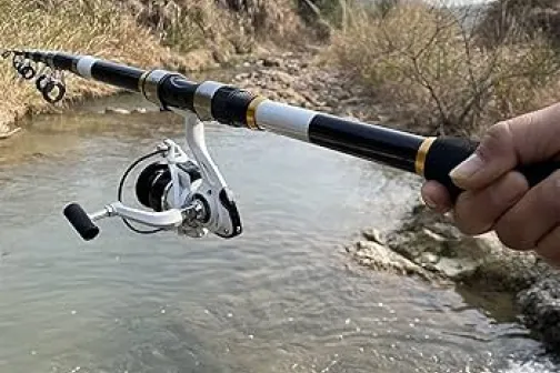 Hengel voor witvis - coarse fishing rod