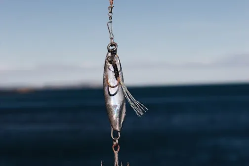Kunstaas en vislokmiddelen voor roofvissen op snoek