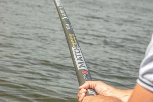 Vaste hengel - match pole fishing