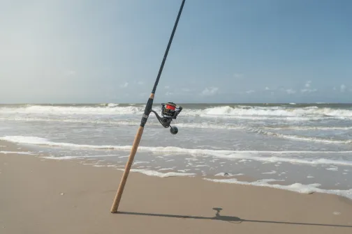 Zeehengel - sea fishing rod