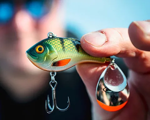 Baars vissen - perch fishing with Berkley