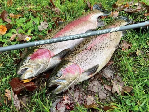 Forelhengel - trout fishing rod