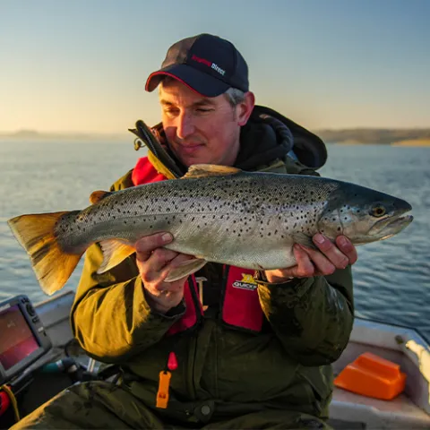 Forelvissen - trout fishing
