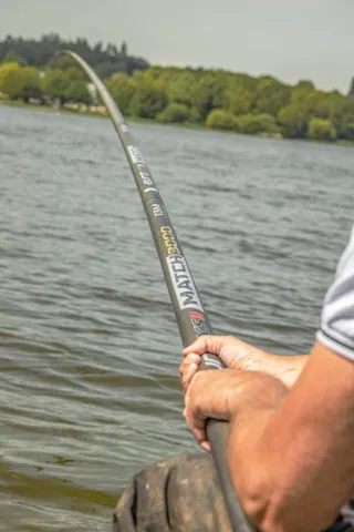 Vaste hengel - match pole fishing