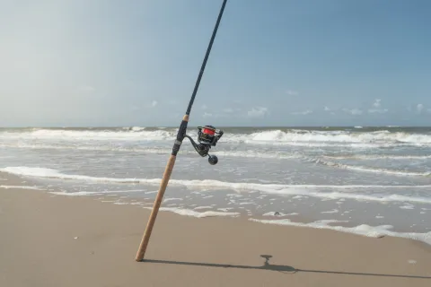 Zeehengel - sea fishing rod